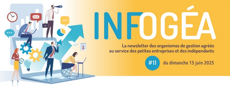 Infogea-11