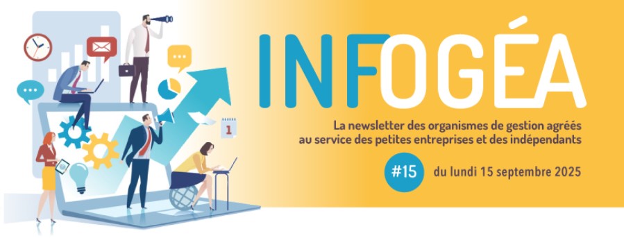 Infogea-11